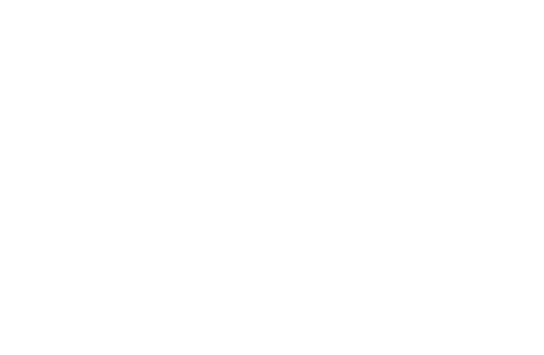 A11 televize