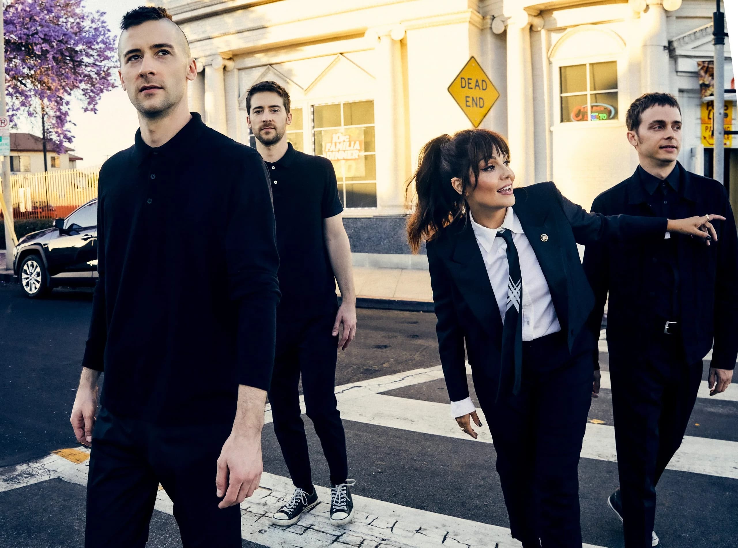 THE INTERRUPTERS